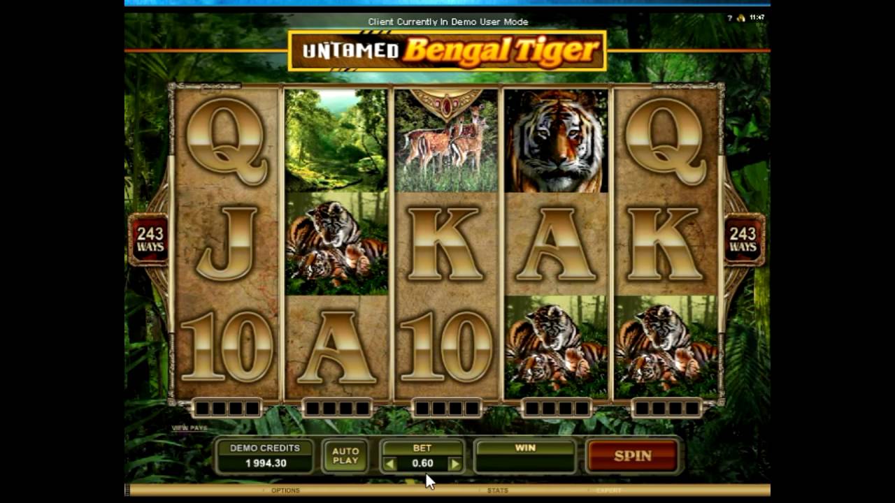Обзор игрового аппарата  Неукрощенный Тигр (untamed bengal tiger) - характеристики и правила
