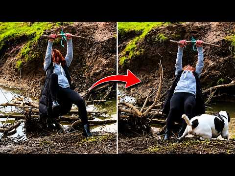 Quintessentially British Memes #114 | Funny Fails 🤣