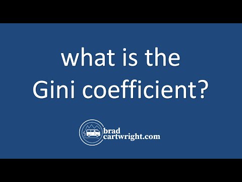 What is The Gini Coefficient | IB Macroeconomics | IB Economics