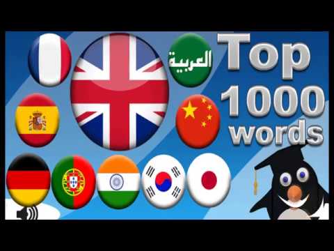 스크린샷 이미지