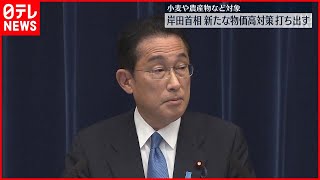 【岸田首相】新たな物価高対策を打ち出す