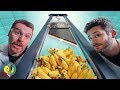 Real Guillotine vs. 100 Bananas & Other Fruits!