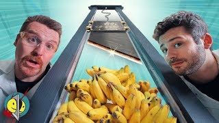 Real Guillotine vs. 100 Bananas \& Other Fruits!