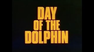 1982 Dolphins