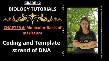 Coding and Template Strand of DNA I Molecular Basis of Inheritance I Chapter 6 I Class 12