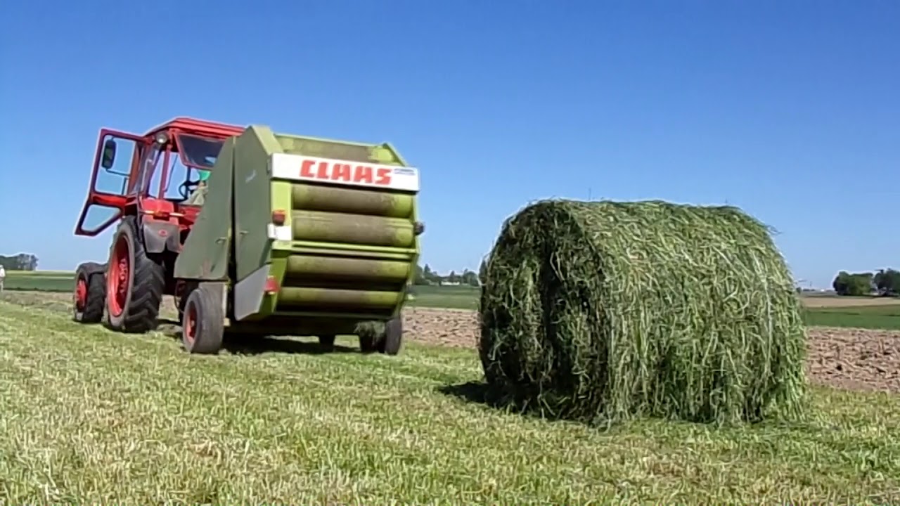 Typowe polskie sianokosy w świętokrzyskim | MTZ 82 + Class Rollant 44 URSUS C360 3P C330