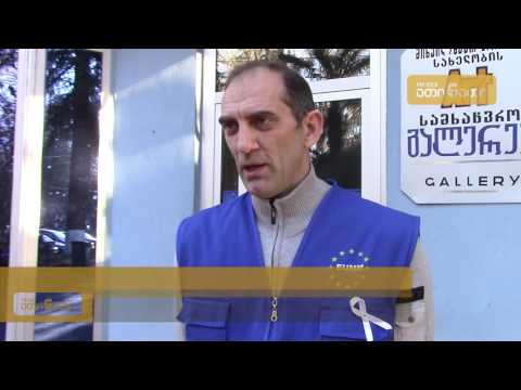 ევროკავშირის სადამკვირვებლო მისიამ „გრძელი ნათელი დღეების“  ჩვენება გაიმართა