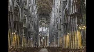 Enchanted (Taylor's Version) by Taylor Swift but you're in an old cathedral