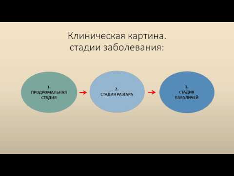 Как предотвратить бешенство