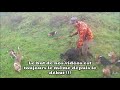 Chasse aux sangliers au cœur de l&#39;action !!! hunter boar !!!