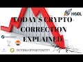 Today's CRYPTO-CORRECTION EXPLAINED. Exchanges Overloaded. BUYING OPPORTUNITY? Electroneum Update.