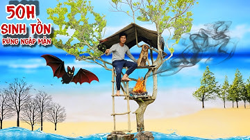 50h Sinh tồn rừng ngập mặn | Xây dựng nơi trú ẩn trên cây sinh tồn cùng chú chó | Phần 1