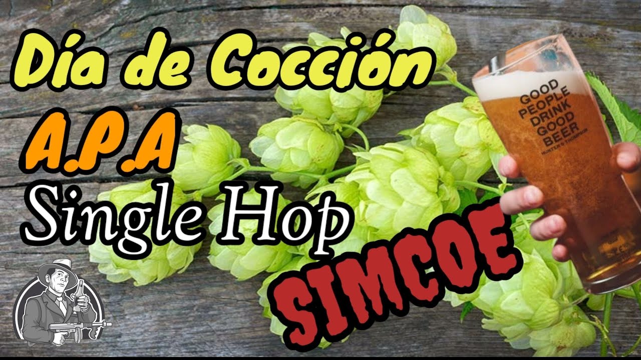 Día de cocción APA Single Hop SIMCOE - Cerveza Artesanal | La Birra Nostra