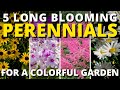 Top 5 Long Blooming Perennials for a Colorful Garden | Garden Answer 🍃