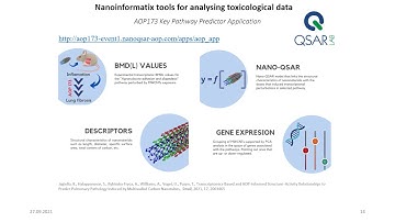 PATROLS GA Topic 6: An in silico toolbox for hazard prediction of ENM chronic effects