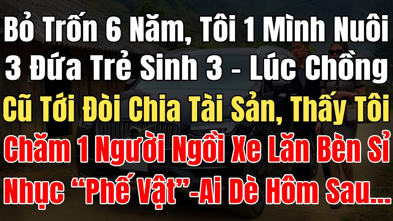 Bỏ Trốn 6N Tôi 1 Mình Nuôi 3 Đứa Trẻ Sinh 3, 1 Hôm Chồng Cũ Tới Đòi Chia TS Thấy 1 Người Ngồi Xe Lăn