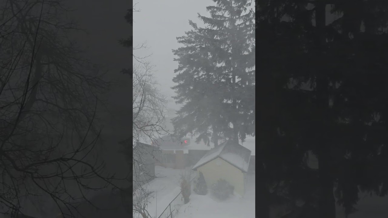 snow storm #barrie #canadiancity #canada