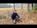 Laver svampe-stammer og planter bærbuske og bunddækker i min nye skovhave baseret på permakultur!
