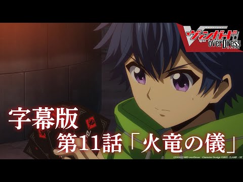 カードファイト‼︎ヴァンガード◇「櫂三和本」11冊◇イメージ部／恋ゆり子 TVアニメ「カードファイト!!ヴァンガード」 『カードファイト