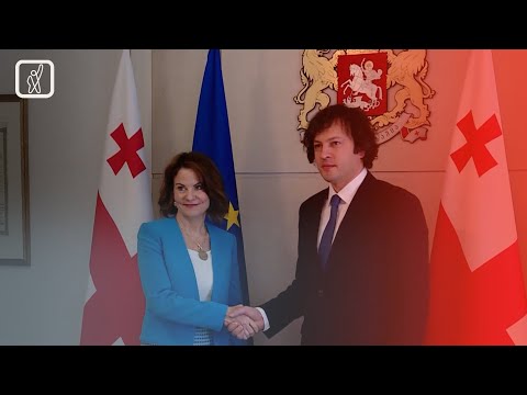 კობახიძე აშშ-სა და EU-ს წევრი ქვეყნების ელჩებს რუსულ კანონზე „საჯარო დისკუსიაში“ იწვევს