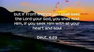 The More I Seek You (Lyrics) - Kari Jobe