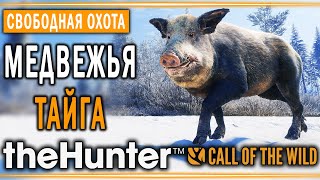 theHunter Call of the Wild #13 🐻 - Медвежья Тайга (часть 2) - Свободная Охота