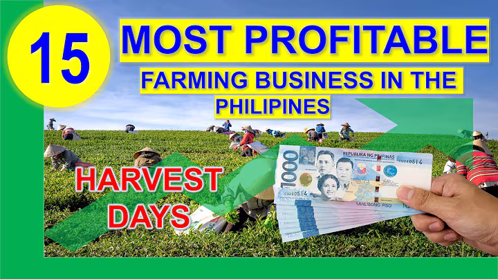 Top 15 Most Profitable Farming Business in the Philippines per Return on Investments w/ Harvest Days