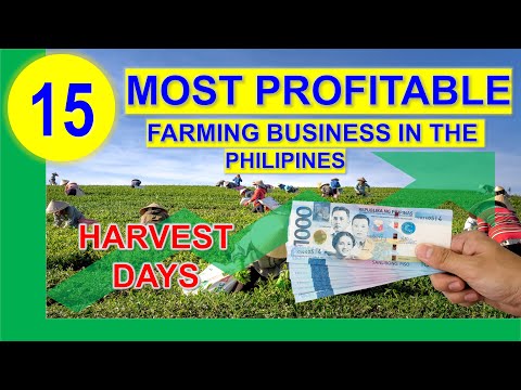 Video: Ang Pinakamagandang Sacramento Farmers Markets