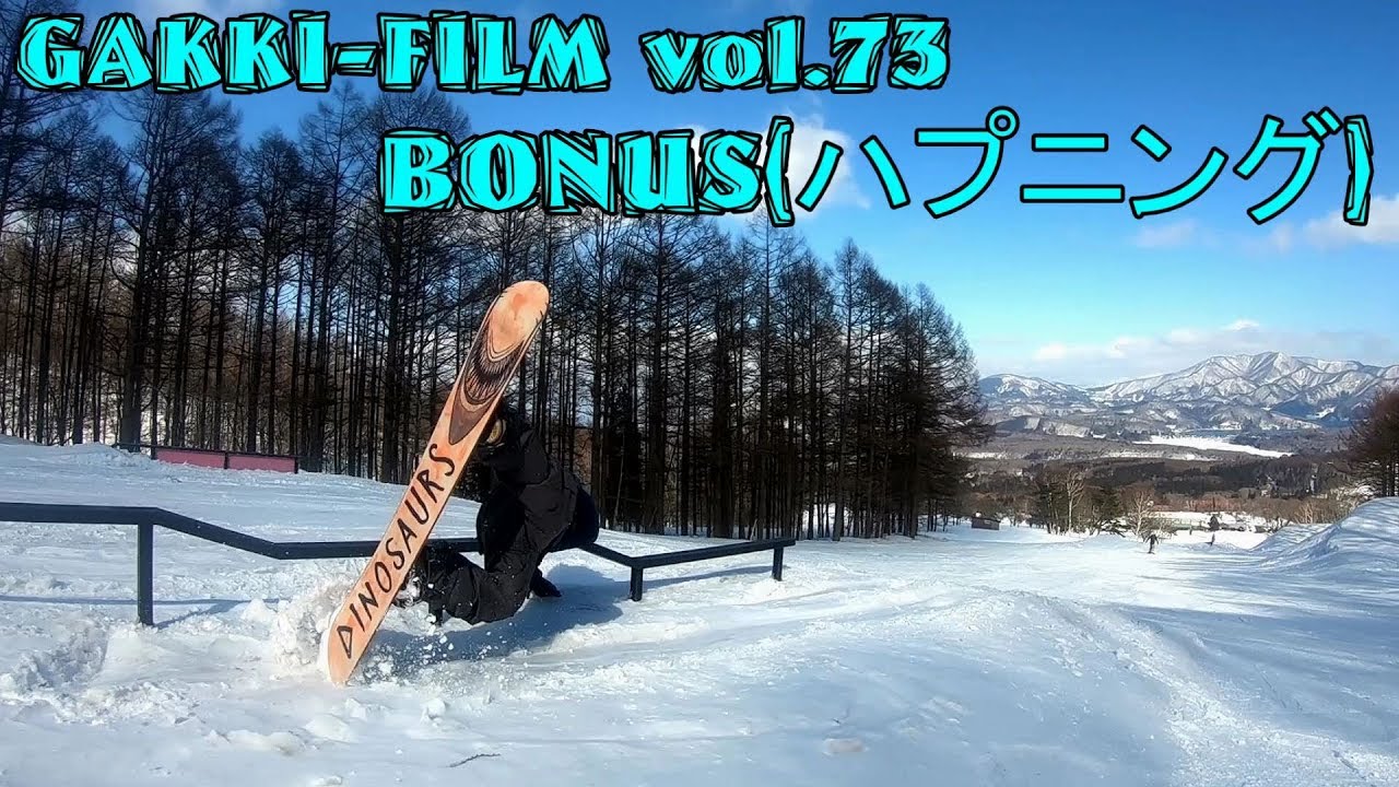 BONUS ハプニング 17-18season snowboard ( スノーボード 衝撃 失敗 クラッシュ パーク フリーラン )