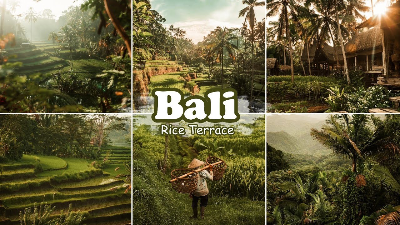 Bali Rice Terrace - Lightroom Mobile Presets | Bali Presets | Bali Lightroom Preset