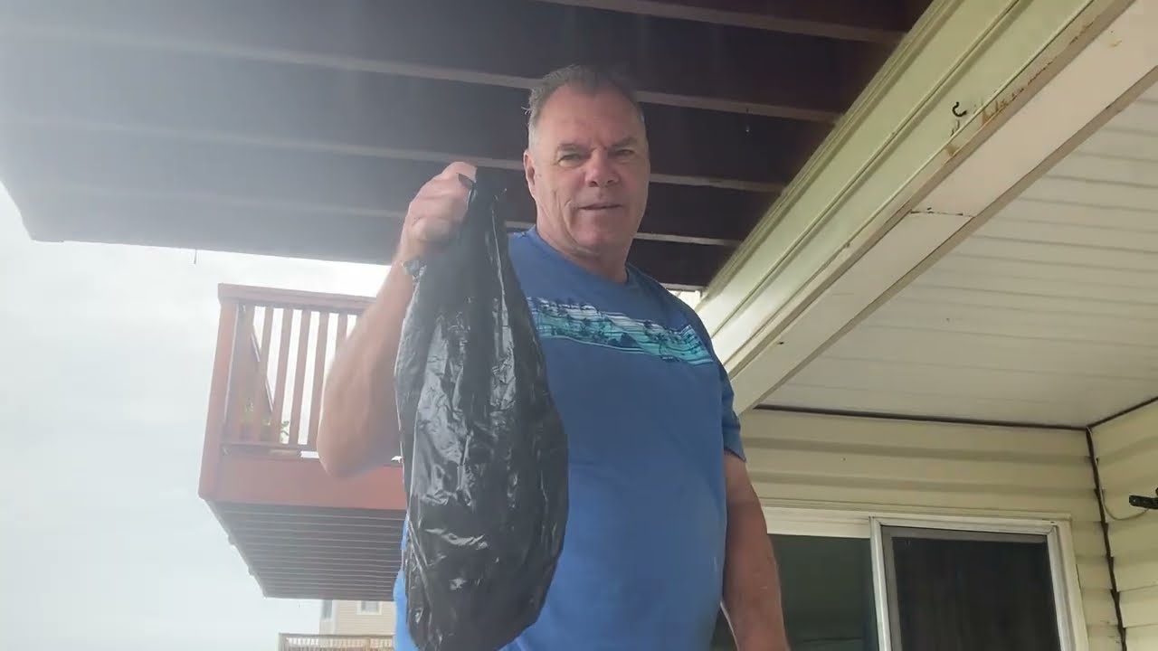 This Shit Works: PIC Fly Ribbon Disposal