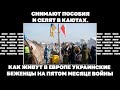 Снимают пособия и селят в каютах. Как живут в Европе украинские беженцы на пятом месяце войны