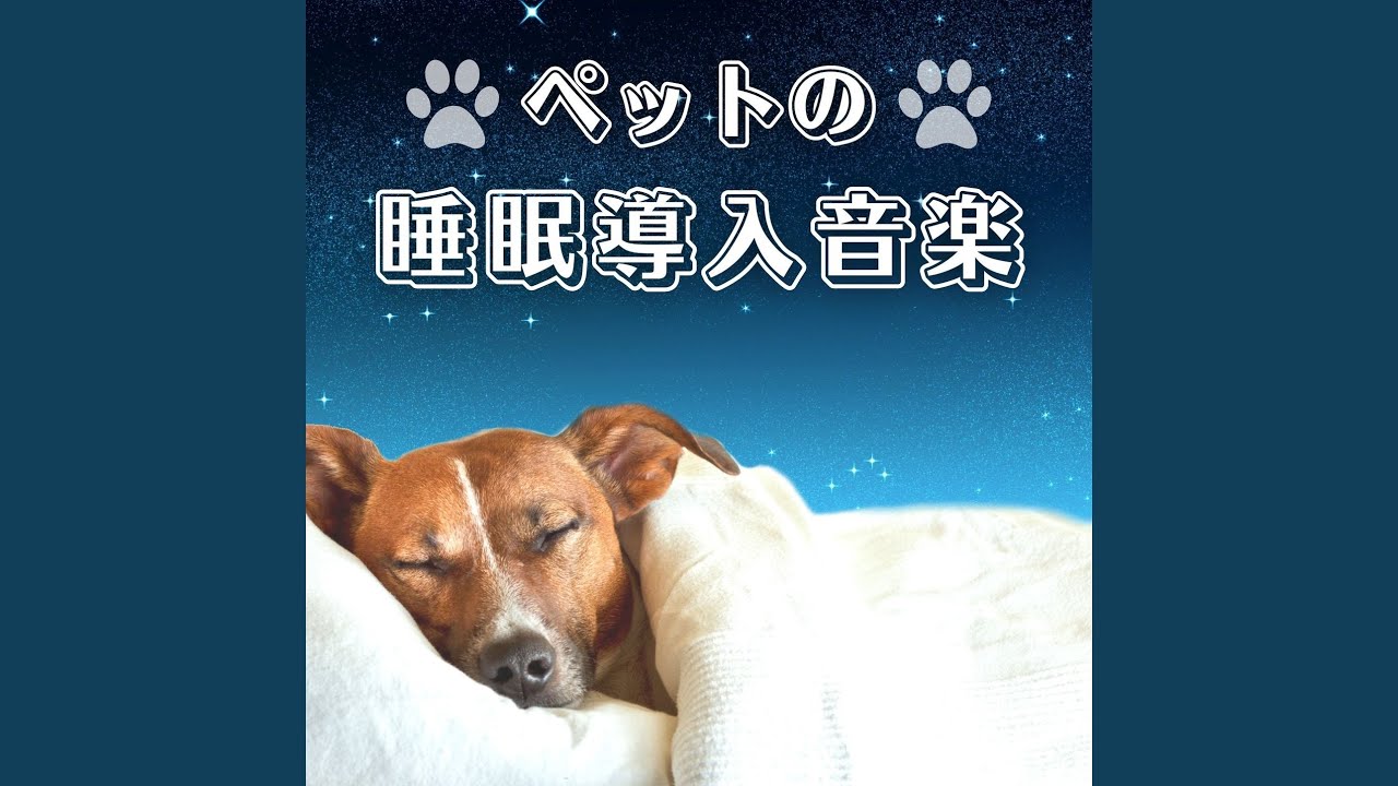 眠たくなる癒し曲 auf YouTube ansehen