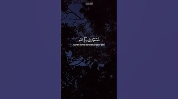 تلاوة عاطره من آيات الذكر الحكيم بصوت #الشيخ ياسر الدوسري #قرٱن ❤️❤️