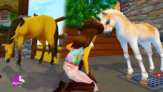 Help The Hurt Foal ! Vet Care Rescue Ranch Quest Star Stable Online Game Video screenshot 5