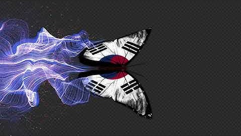 Korea South Flag Butterfly Gorgeous Particle Light Trailing Flying Transtion V5 | Motion Graphic...