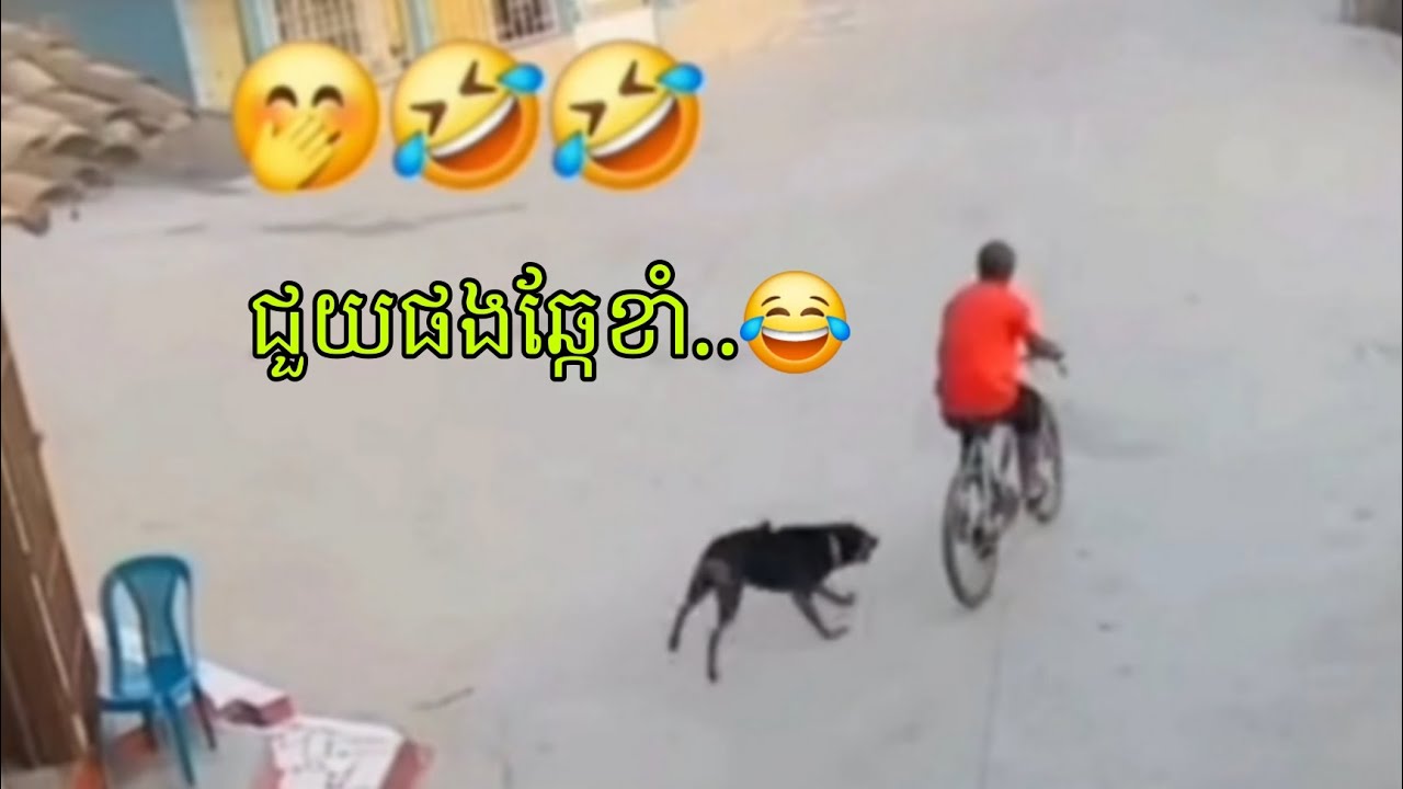 ថាត្រូវៗមែន 😂