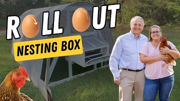 DIY Roll-Out Nesting Box | Keep Eggs Clean & Reduce Breakage!