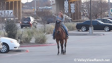A Lone Star Legacy - riding in town - ValleyViewRanch.net