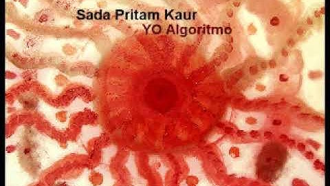 Sada Pritam Kaur - Yo Algoritmo (music video)
