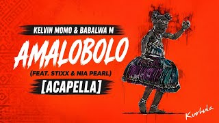 Kelvin Momo & Babalwa M – Amalobolo (feat. Stixx & Nia Pearl) [Acapella]