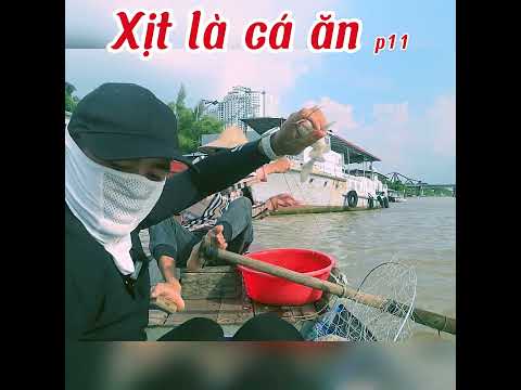 Câu Cá Ngạnh Dễ Như Chơi Với Mồi Xịt - Tôi Đã Thử Và Thành Công!