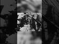 Hitler's Brutality: How Race Theories Failed in War #shorts