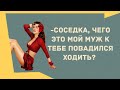 Сборник смешных анекдотов! Юмор дня! Приколы! Позитив!