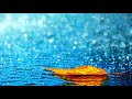 قورئان و دەنگی باران و برووچک ئارامنی دڵان جرب سماع القرآن مع أصوات المطر Quran قورئان و دەنگی باران و برووچک ئارامنی دڵان جرب سماع القرآن مع أصوات المطر Quran