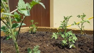 Auiole Per Ortaggi Fare Lorto Rialzato Con Mattoni Di Tufo