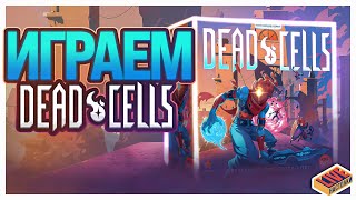 :     Dead Cells