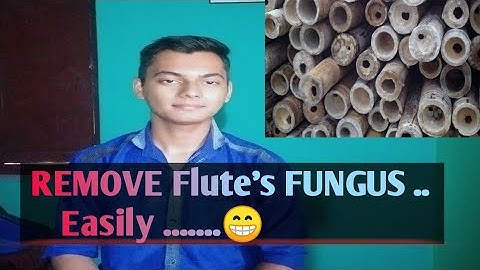 How to remove fungus from flute. | how to clean up flute. | oiling in flute.| Mantinence of flute.