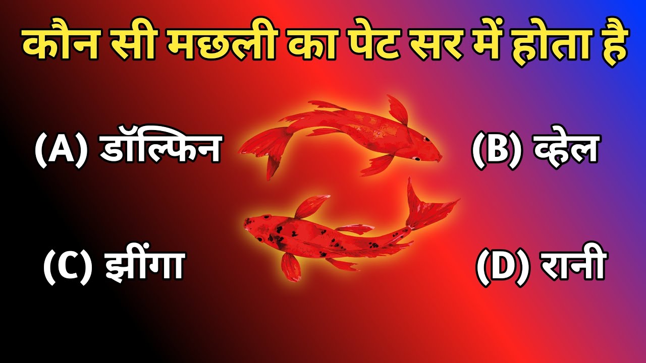 gk-questions-gk-question-gk-quiz-gk-ke-sawal-gk-questions-in