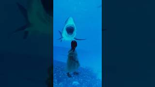 Reality or Illusion? I stepped into another dimension... 🚀 #trending #viralshorts